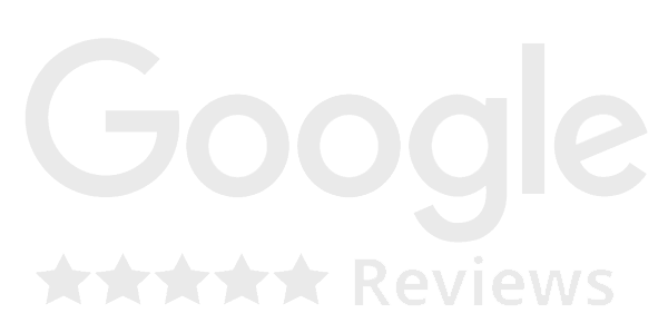 Most reviewed Web Design Company on Google.